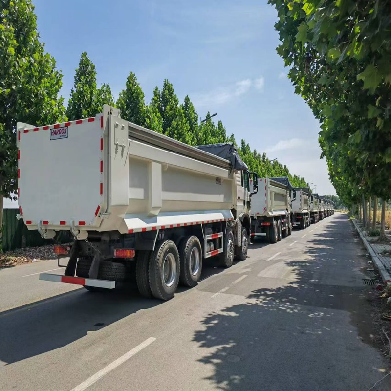 Самосвал Howo TX Sinotruk Howo 8x4 Tipper 12 Wheeler ручной дизель