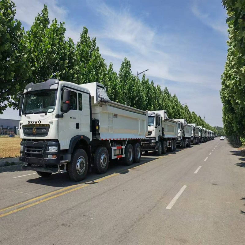 Самосвал Howo TX Sinotruk Howo 8x4 Tipper 12 Wheeler ручной дизель
