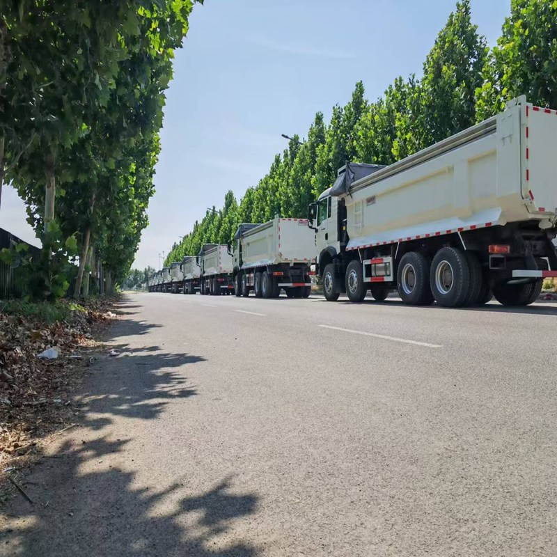 Самосвал Howo TX Sinotruk Howo 8x4 Tipper 12 Wheeler ручной дизель